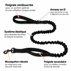 Laisse élastique HAYSO