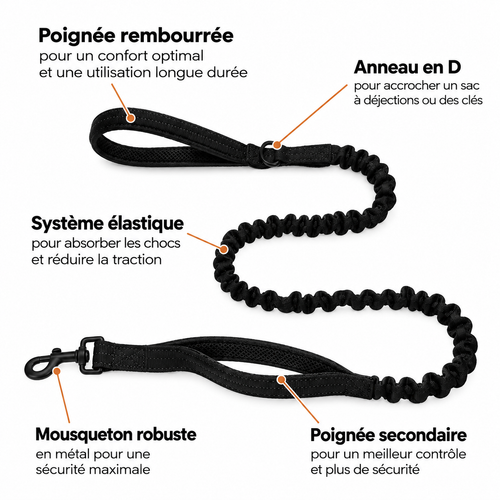 Laisse élastique HAYSO