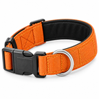 Collier HAYSO